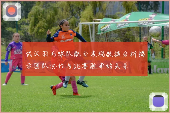 武汉羽毛球队配合表现数据分析揭示团队协作与比赛胜率的关系