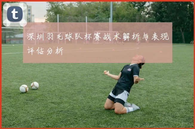 深圳羽毛球队杯赛战术解析与表现评估分析