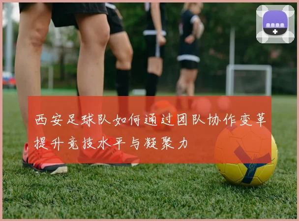 西安足球队如何通过团队协作变革提升竞技水平与凝聚力