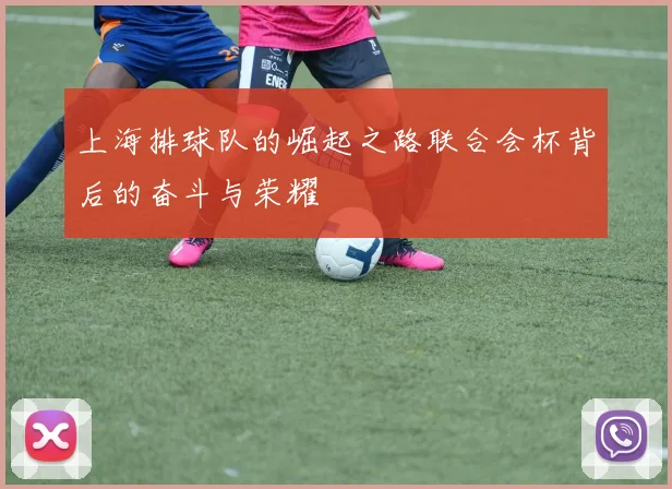 上海排球队的崛起之路联合会杯背后的奋斗与荣耀