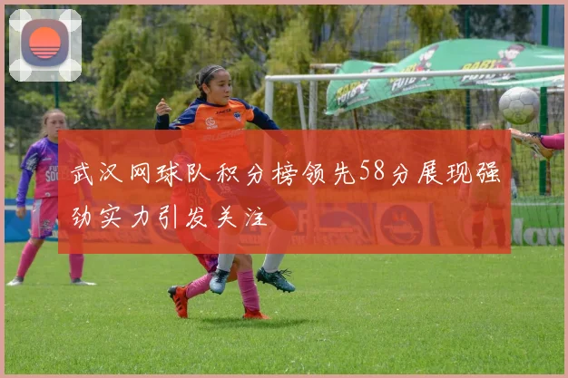 武汉网球队积分榜领先58分展现强劲实力引发关注