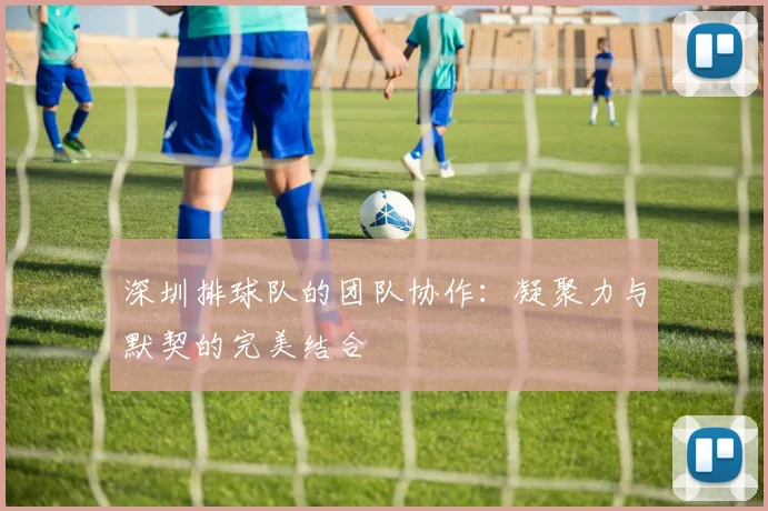 深圳排球队的团队协作：凝聚力与默契的完美结合
