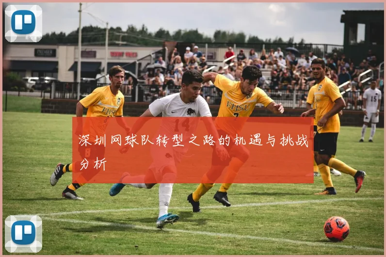 深圳网球队转型之路的机遇与挑战分析