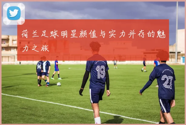荷兰足球明星颜值与实力并存的魅力之旅