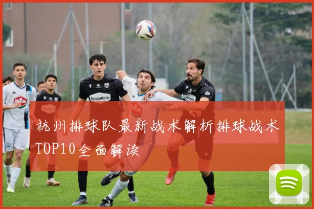 杭州排球队最新战术解析排球战术TOP10全面解读