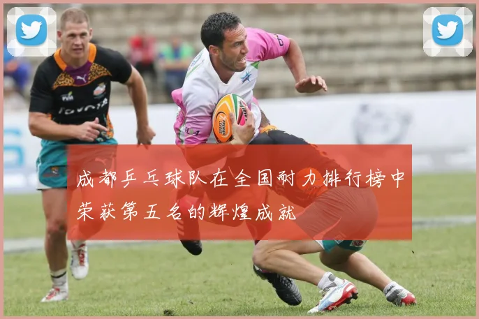 成都乒乓球队在全国耐力排行榜中荣获第五名的辉煌成就