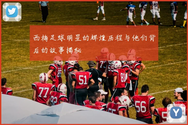 西梅足球明星的辉煌历程与他们背后的故事揭秘