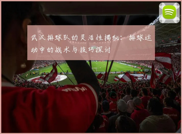 武汉排球队的灵活性揭秘：排球运动中的战术与技巧探讨