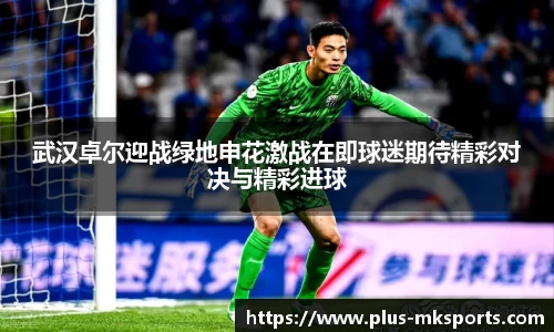 MK体育官网