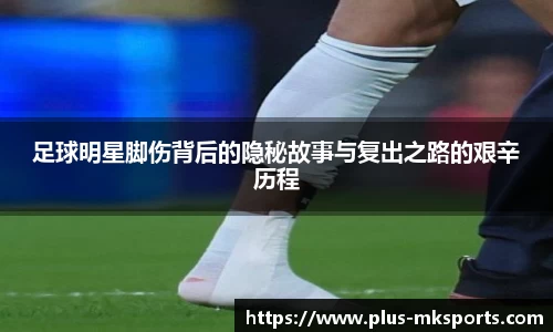 MK体育官网