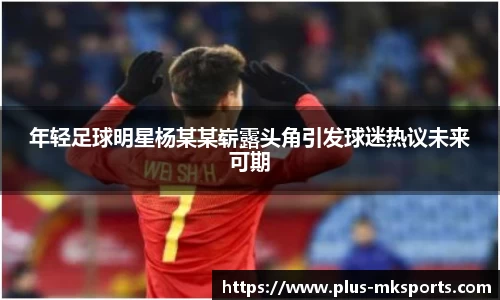 MK体育官网