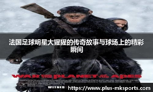 法国足球明星大猩猩的传奇故事与球场上的精彩瞬间