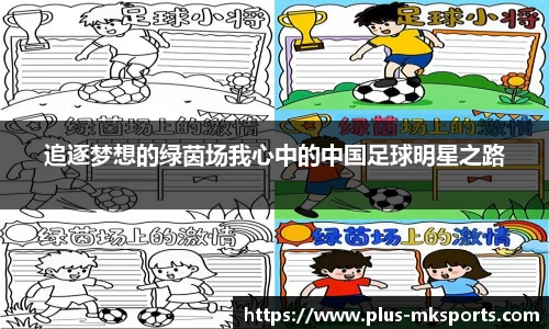 追逐梦想的绿茵场我心中的中国足球明星之路